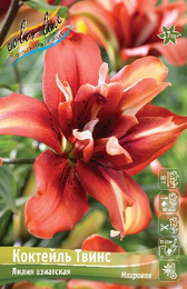 Лилия азиатская Коктейль Твинс