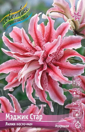 Лилия восточная Мэджик Стар