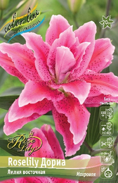 Лилия восточная Roselily Дориа