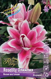 Лилия восточная Roselily Олимпия