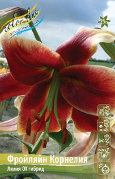 Лилия ОТ гибрид Фройляйн Корнелия