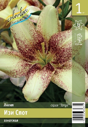Лилия азиатская Изи Спот
