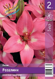 Лилия азиатская Розалинн