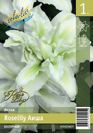 Лилия восточная Roselily Аиша