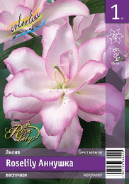 Лилия восточная Roselily Аннушка