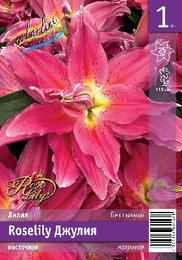 Лилия восточная Roselily Джулия