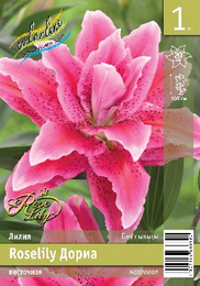 Лилия восточная Roselily Дориа