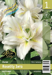 Лилия восточная Roselily Зита