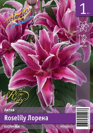Лилия восточная Roselily Лорена