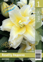Лилия восточная Roselily Людвина
