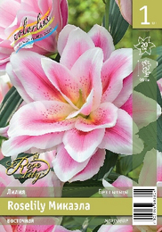 Лилия восточная Roselily Микаэла