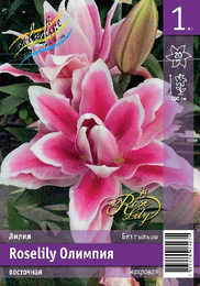Лилия восточная Roselily Олимпия
