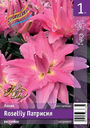 Лилия восточная Roselily Патрисия