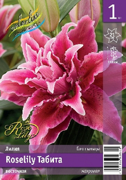 Лилия восточная Roselily Табита