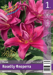 Лилия восточная Roselily Флоретта