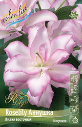 Лилия восточная Roselily Аннушка