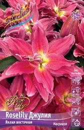 Лилия восточная Roselily Джулия