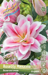 Лилия восточная Roselily Микаэла