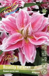 Лилия восточная Roselily Наталия