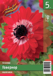 Анемона корончатая Говернор