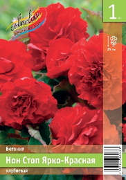 Бегония клубневая Нон Стоп Ярко-Красная
