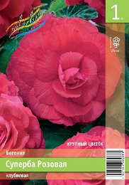 Бегония клубневая Суперба Розовая