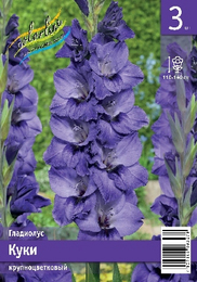 Гладиолус Куки