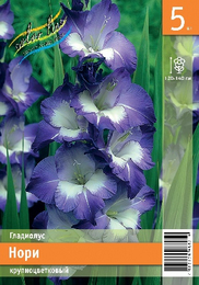 Гладиолус Нори