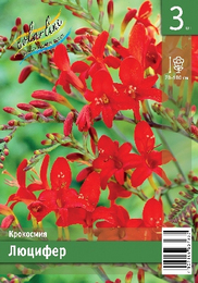 Крокосмия Люцифер
