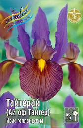Ирис голландский Тайгерай