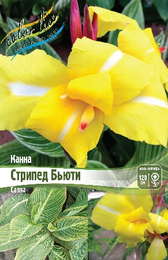Канна Стрипед Бьюти
