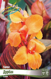 Канна Дурбан