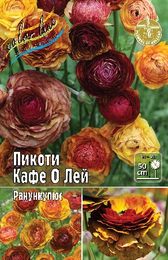 Ранункулюс Пикоти Кафе О Лей