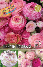Ранункулюс Пикоти Розовый