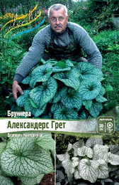 Бруннера крупнолистная Александерс Грет