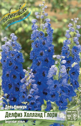 Дельфиниум высокий Делфиз Холланд Глори