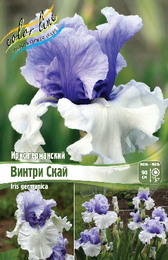 Ирис германский Винтри Скай