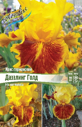 Ирис германский Даззлинг Голд