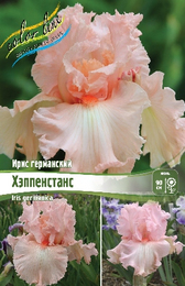 Ирис германский Хэппенстанс