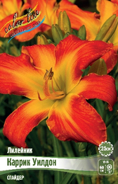 Лилейник Каррик Уилдон