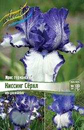 Ирис германский Киссинг Сёркл