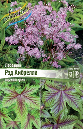 Лабазник Рэд Амбрелла