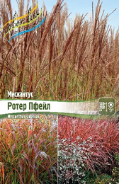 Мискантус китайский Ротер Пфейл