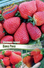 Земляника садовая Вима Рина