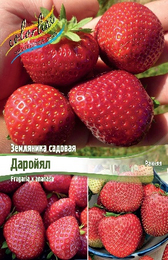 Земляника садовая Даройял