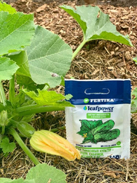 Удобрение Фертика Leaf Power для тыквенных культур, 15 г.