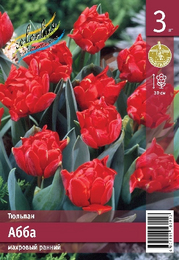 Тюльпан Абба
