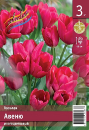 Тюльпан Авеню