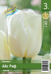 Тюльпан Айс Риф
