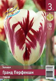 Тюльпан Гранд Перфекшн